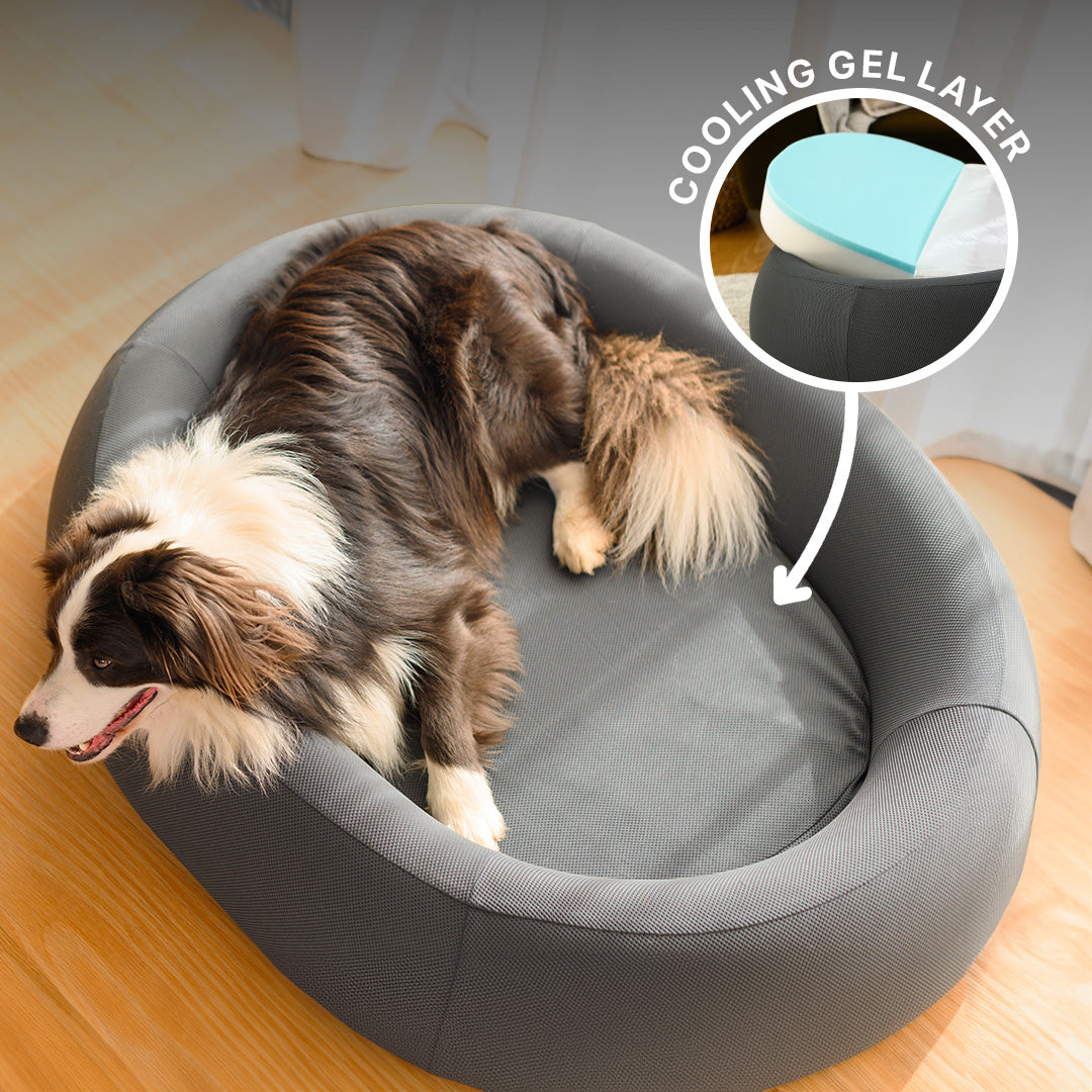 Brooklyn® Nest Cooling Dog Bed (Orthopaedic Memory Foam)