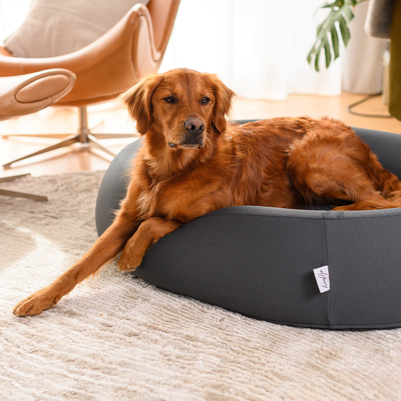 Brooklyn® Nest Cooling Dog Bed (Orthopaedic Memory Foam)