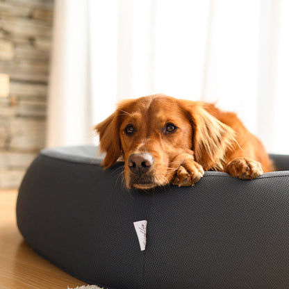 Brooklyn® Nest Cooling Dog Bed (Orthopaedic Memory Foam)