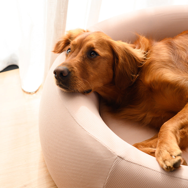 Brooklyn® Nest Cooling Dog Bed (Orthopaedic Memory Foam)