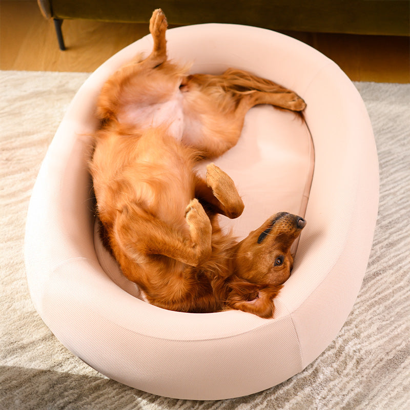 Brooklyn® Nest Cooling Dog Bed (Orthopaedic Memory Foam)