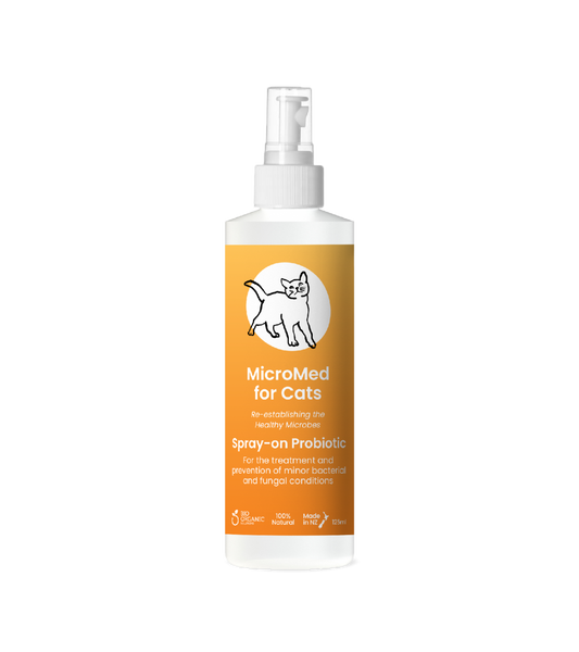 MicroMed for Cats Acute Care