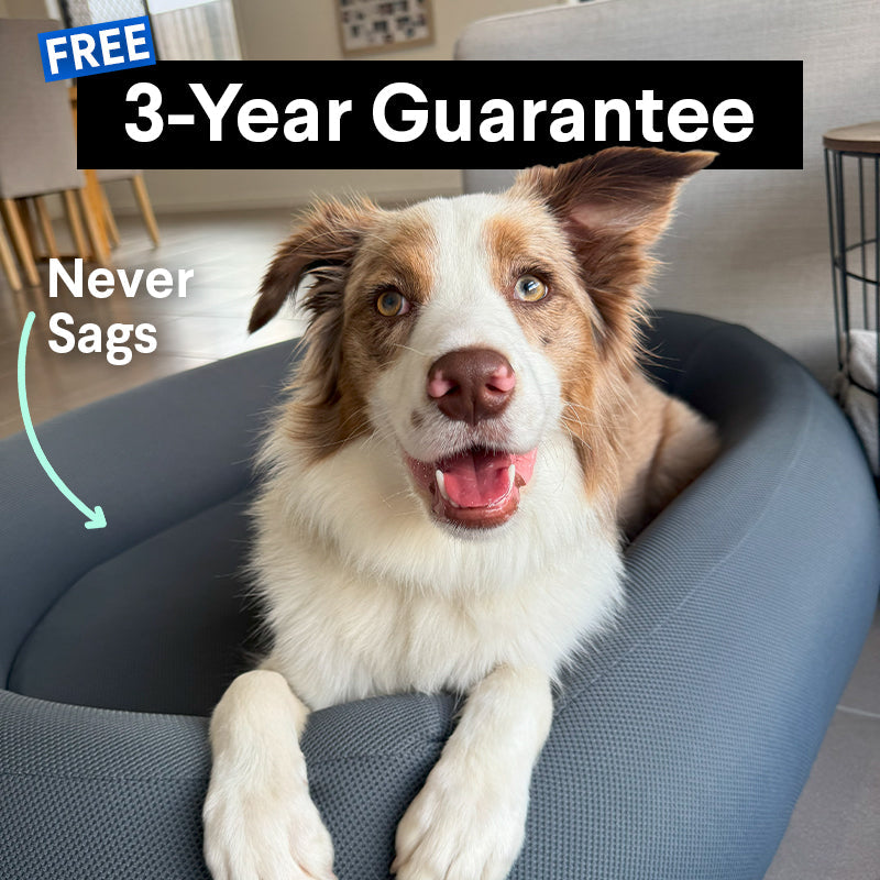Brooklyn® Nest Cooling Dog Bed (Orthopaedic Memory Foam)