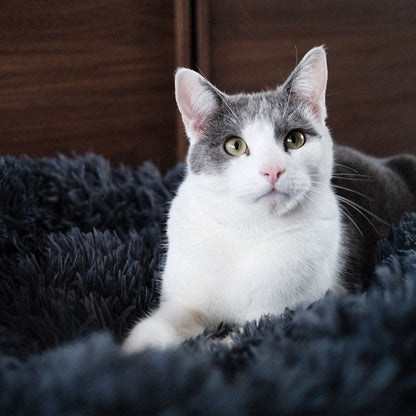 Brooklyn® Deep Sleep Cat Bed