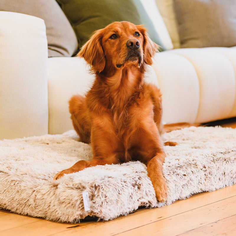 Brooklyn® Ultra Memory Foam Bed