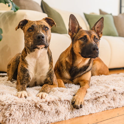 Brooklyn® Ultra Memory Foam Bed