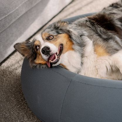 Brooklyn® Nest Cooling Dog Bed (Orthopaedic Memory Foam)