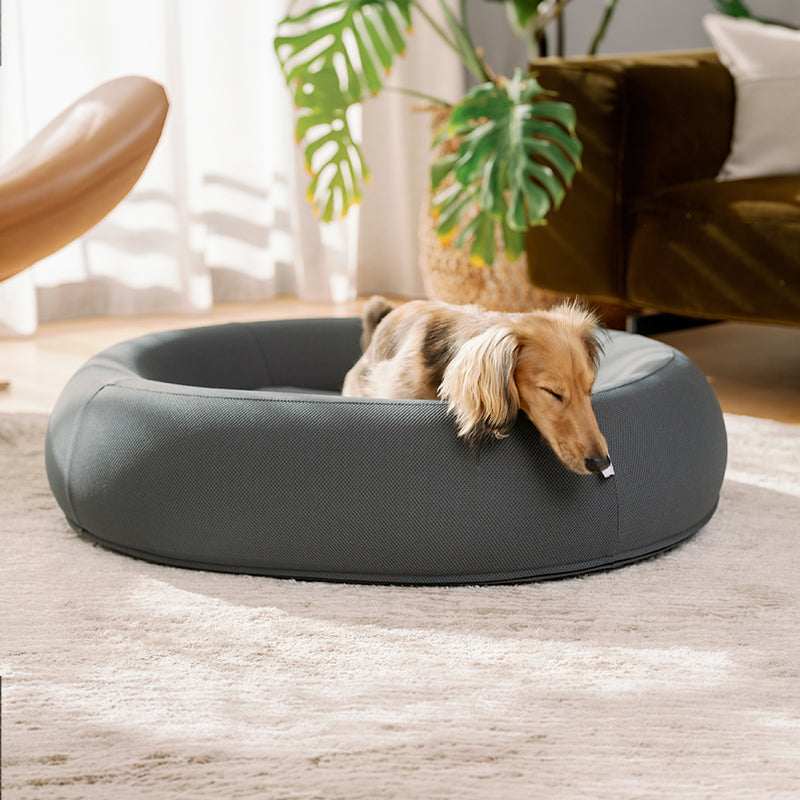 Brooklyn® Nest Cooling Dog Bed (Orthopaedic Memory Foam)
